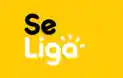 seliga.com.br